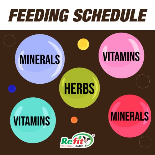 REFIT-ANIMAL-CARE-Nutritional-Supplement-for-Pregnant-Cow-Cattle-Buffalo-20-Pouches-Set-R-Bolite