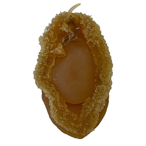 New Green Nutrition Dried Seafood Supreme Dalian Abalone thumb #3