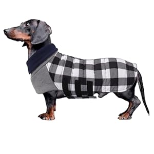 Geyecete Warm Thermal Quilted Dachshund Coat,High Neckine String Holes Dachshund jacketOutdoor Dog Apparel with Adjustable Bands for Small,Medium Dog-Black-M