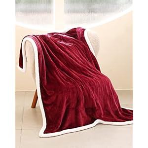 Heated Throw Electric Blanket, 5 Heating Levels & 3 Hours Auto Shutdown, Heating Blanket Super Soft Flannel with Sherpa…