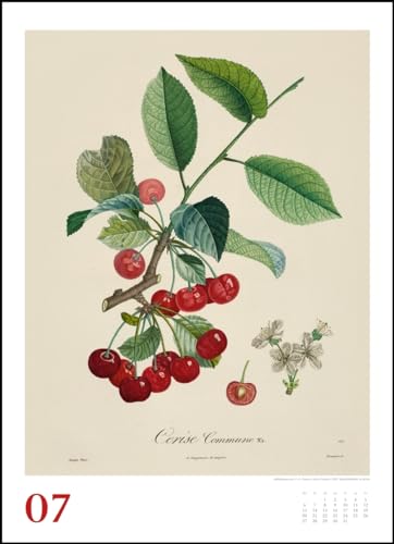 Pierre Antoine Poiteau: Alte Obstsorten 2020