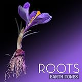 Extreme Music Library LTD