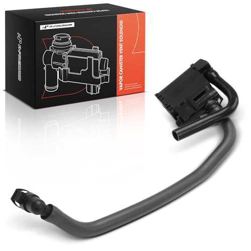 Électrovanne d'évacuation de cartouche de vapeur Buick Terraza 2005-2006
