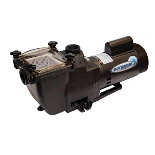 Blue Torrent Typhoon 1.5 HP 56 Frame In Ground Replacement Pool Pump Hayward SSP