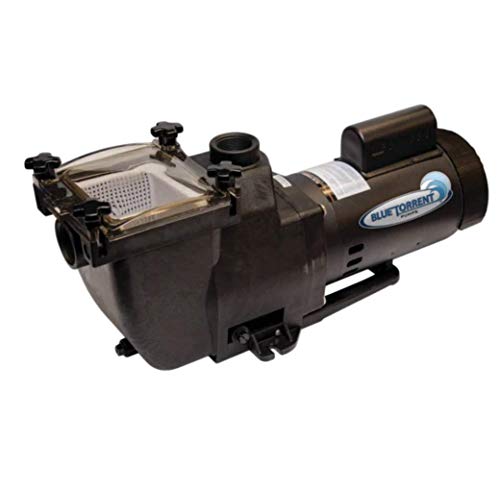 0.75 HP Blue Torrent Typhoon 48 Frame In Ground Pump Drops in for Hayward Super Pump Plumbing (Same Day Shipping)
