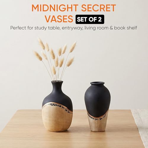 Image of Aakriti Art Creations Midnight's Secret Small Vase Set of 2 | Terracotta Modern Art Flower Vases | Matte Finish Decorative Vases for Living Room, Table Decor & Gifting