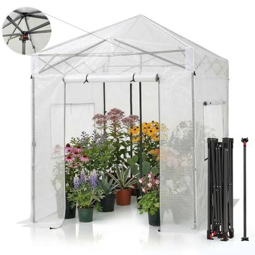 Image of CROWN SHADES Walk-in 8x6 Pop Up Portable Greenhouse,White