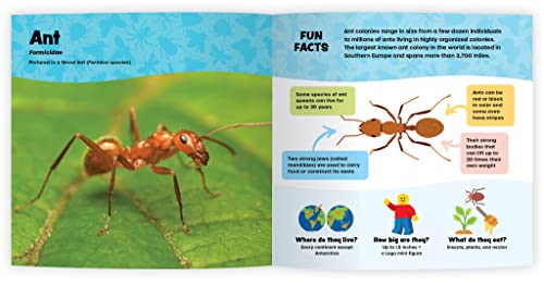 The Fantastic World Of Bugs - Children’s Insect Book About Grasshoppers, Spiders, Butterflies, Bees, Beetles, Ants And More… An Educational Bug Identification Book For Kids With Awesome Insect Photography And Fun Facts #TOP4