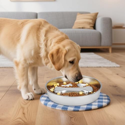 Evadollina Anti Schling Napf Hund, 22cm Edelstahl Antischlingnapf Hunde, Fressnapf Hund, Hundenapf Grosse, Futternapf Katze, Hundenapf, Slow Feeder, Für Hunde Und Katzen