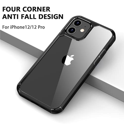 https://m.media-amazon.com/images/I/41NVjp47p0S.jpg