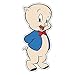 Fan Emblems Looney Tunes Porky Pig Character Car Decal Domed/Multicolor/Clear, Automotive Emblem Sticker Applies Easily to Cars, Trucks, Motorcycles, Laptops, Windows, Almost Anything
