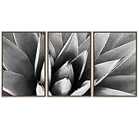 SIGNWIN Framed Canvas Wall Art Agave Plant Petal Botanical Succulent Photography Minimalism Contemporary Closeup Dramatic Black and White for Living Room, Bedroom, Office - 16