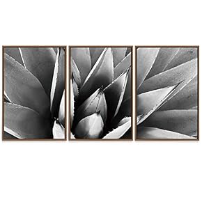 SIGNWIN Framed Canvas Wall Art Agave Plant Petal...
