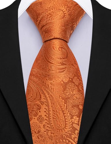 Image of Barry.Wang Paisley Tie for Men Silk Woven Necktie and Tie Clip Set Wedding Party Business Formal