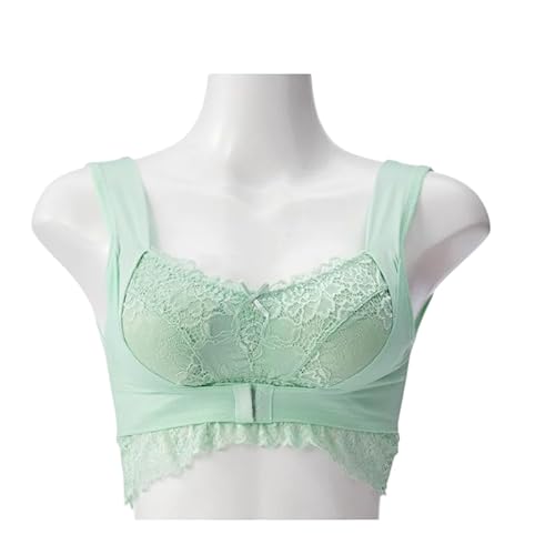 [Firmiarii] OtzbNu mC[ rbOTCY wfUC [Xu p z 3/4Jbv \AWX^[ nfUC 30㏗ TCh[pbht  3x_l