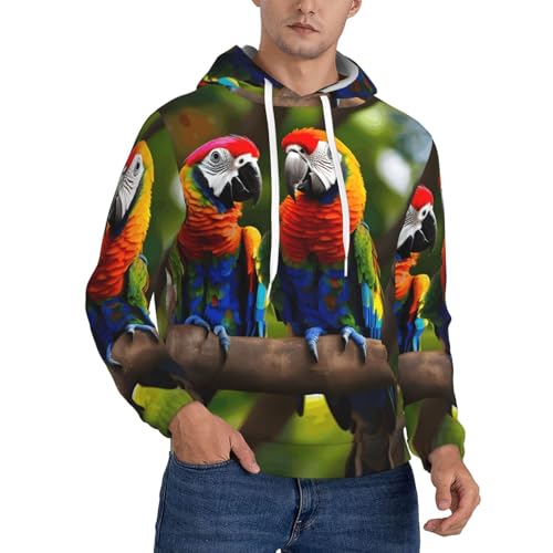 Sweat à capuche homme perroquets colorés motif oiseaux exotiques