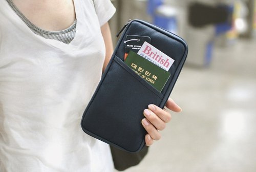 Click Down New Multi Purpose Waterproof Travel Passport Credit Id Card Cash Holder Organizer Wallet Purse Case Bag (Black) #TOP4