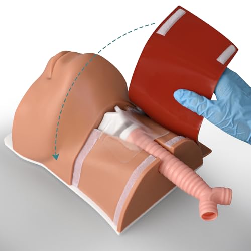 Image of Cricothyrotomy Task Trainer, Cricothyrotomy Simulator | Tracheostomy Trainer, Medium Skin