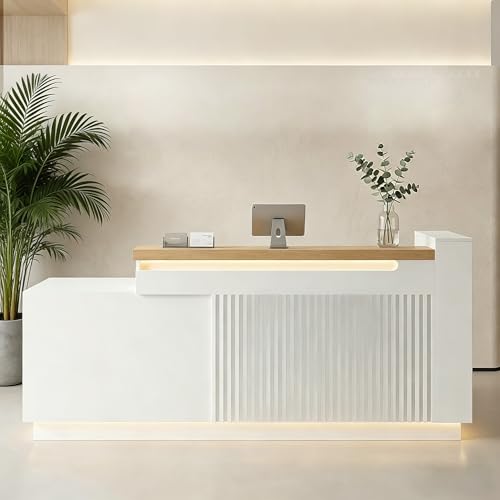�yHo-ru-mi �z��t�J�E���^�[ ��t�� L���f�X�N ���W�J�E���^�[ ��220cm �R���Z���g�t�� ���t�� �����o�� ���[�I�t�� ��e�ʎ��[ �z���C�g ���_�� �I�t�B�X�E���e���E�X�܁E���r�[�p ���E�g�ݑւ��\ JDT-SY-001 ��220*�c63��