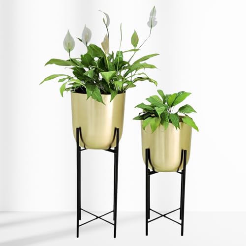 Image of Gold Planters with Black Stand (Set of 2) Pots for Living Room Bedroom Balcony Home and Office
