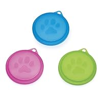 Algopix Similar Product 12 - Pet Studio Neons Lid Displays 