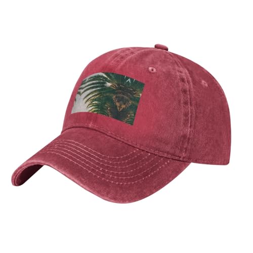 Los Angeles Palm Trees Cappello da baseball in denim lavato