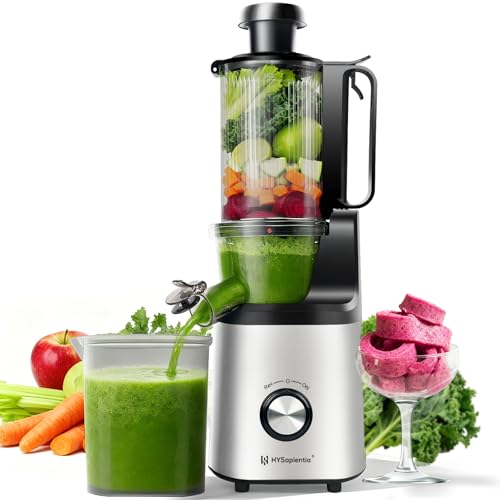 HYSapientia Cold Press Juicer, Slow Masticating, High Yield