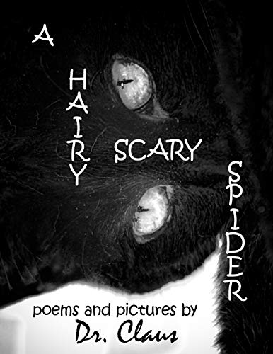 A Hairy Scary Spider 1614970572 Book Cover