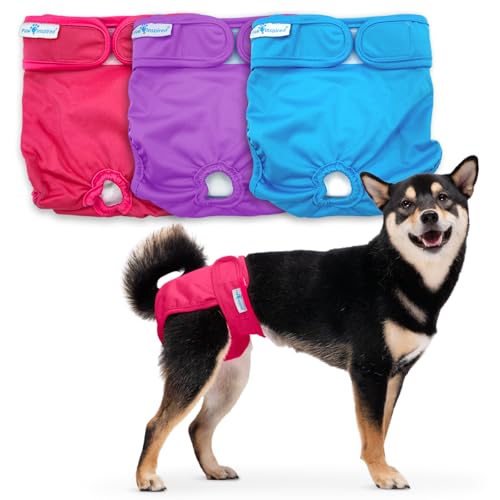 Paw Inspired Washable Dog Diapers | Reusable Dog Diapers | Female Dog Diapers | Absorbent Dog Diapers | Doggie Diaper | 3 Pc | Multiple Colors | Assorted (White Lining) | Medium