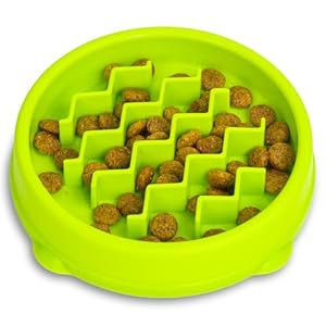 Catstages Kitty Slow Feeder Cat Bowl, Green