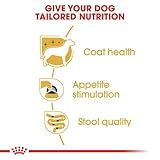 Royal Canin Yorkshire Terrier Adult | Doppelpack | 2 x 12 x 85 g | Nassfutter für ausgewachsene Hunde | Ab dem 10. Lebensmonat | Zur Unterstützung von Fell und Stuhlqualität