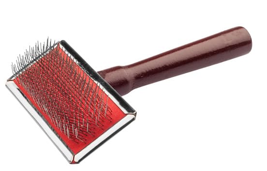 EHASO Extra Lifetime Soft Hundebürste klein, sanfte Fellpflege für kurzes und mittellanges Fell mit rostfreien Drahtstiften und ergonomischem Holzgriff für das entfernen von Unterwolle