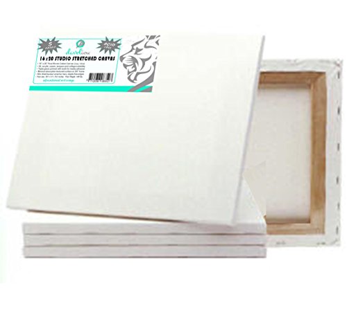 Lona de Pintura Daveliou 40.6 x 50.8 cm...