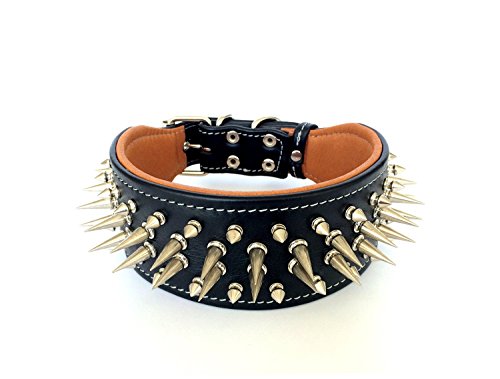 Bestia Genuine Leather Dog Collar with Screw Spikes and Soft Leather Cushion. Wide. Durable. Longlasting. Padded. Pitbull. Bulldog. Bully. APBT. Rottweiler. Cane Corso. 2.8 inch Wide!