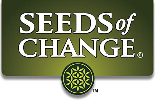 Seeds Of Change 1068 Certified Organic Yellow Crookneck Summer Squash #TOP4