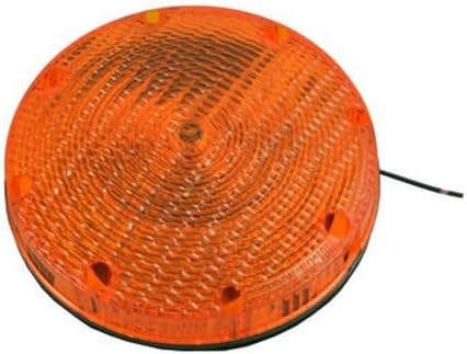 433247001 - International Lightback Up W/