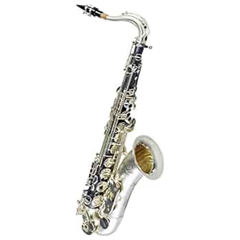 Amazon.co.jp: Cannonball T5HS テナーサックス BIG BELL STONE