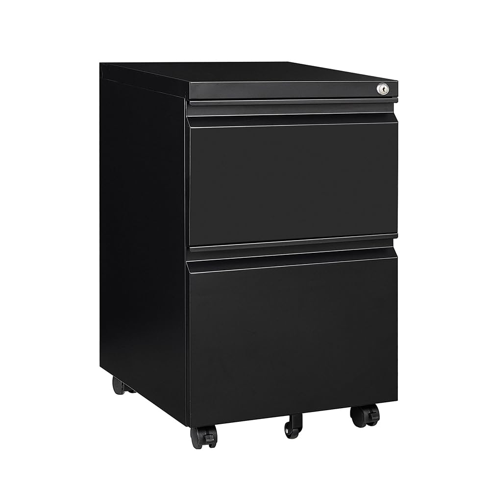 Panana 2/3 Drawer Mobile File Cabinet, Steel Lockable Office Cabinet with Wheels Under Desk Drawers on Casters for Home Office Furniture, Fully Assembled (Black, 2 Drawers)