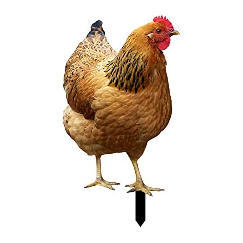 Statue de Coq de Jardin Labstandard Cover