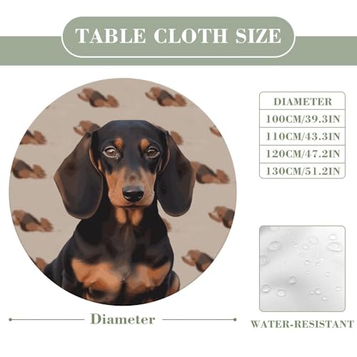 Nappe ronde élastique teckel imperméable et extensible pour table de repas ronde - 3