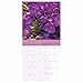2026 Gardens, National Trust Wall Calendar