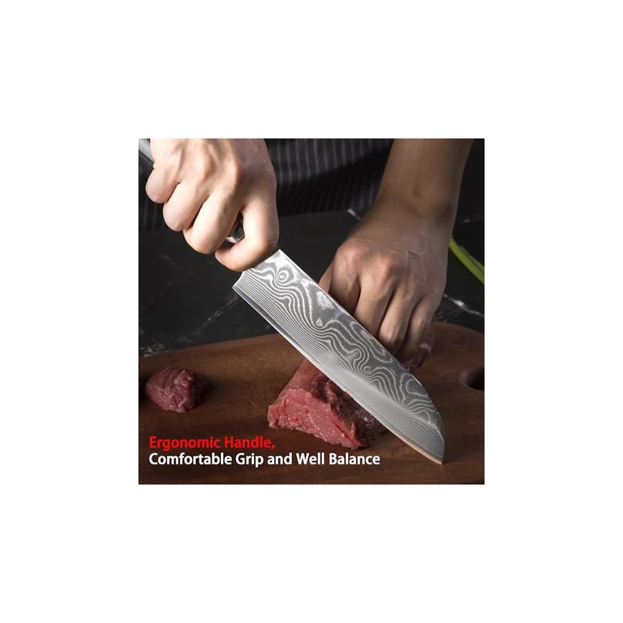 EANINNO Japan Santoku Damascus Japanese Chef Knife 7 inch, VG-10 Damascus Steel 67 Layer Kitchen Cutting Knife, Asian Chef's Knife for Meat Vegetable Wood Handle