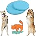 BUYGOO 2pz Frisbee per Cani Frisbee Pieghevole Gomma Disco Cane Frisbee Giocattolo Frisbee Cane Giocattoli Dischi Volante Frisbee Cani Frisbee Resistente Allenamento Giocattolo Cane 18.5cm/23cm