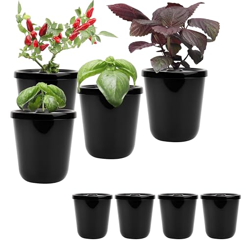 Kratky Method Hydroponic Planter Kit, 8 Hydroponic Planter Plus 24 Growing Sponges for Herbs, Hydroponic Mini Buckets for Windowsill Herb Garden, Hydroponic Growing System for Vegetables (Black)