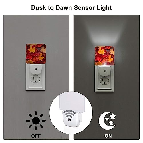 Image of Autumn Fall Leaves LED Plug-in Night Light 2-Pack, Auto Sensor Nightlights Set of 2 for Bedroom Bathroom