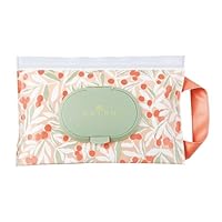 Amazon｜丸眞 ティッシュケース ウェットティッシュケース