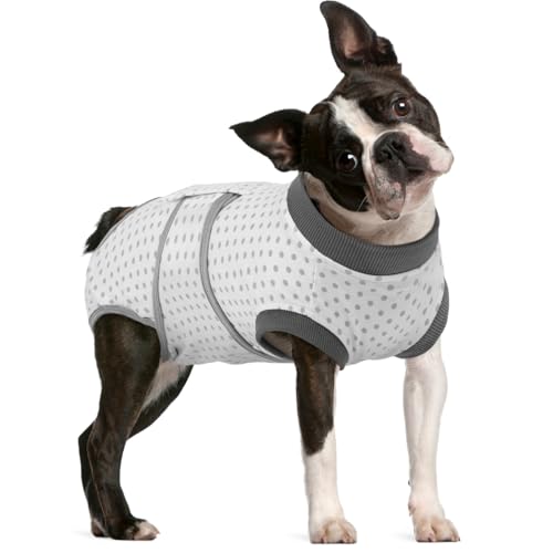 Image of FUAMEY Dog Recovery Suit Male,Dogs Surgery Neuter Suits Puppy Spay Shirts for Female Protect Dog's Skin Anti Licking Abdominal Wounds Doggie Onesie Pet Bodysuit Alternative to Cone Polka Dot M