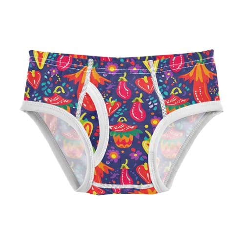 visesunny Boys Potty Training Underwear Abstract Colored Pepper Breathe Cotton Briefs Size 2T-8Y for Toddler