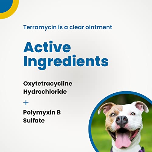 Terramycin 10000474 Antibiotic Ointment For Eye Infection Treatment In Dogs, Cats thumb #3