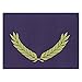 Hayes H-VA343 Embossed Certificate Folder, Blue (Pack of 30)